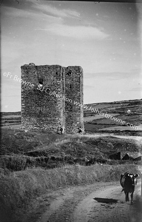 DUNBEACON CASTLE FROM N.ROAD